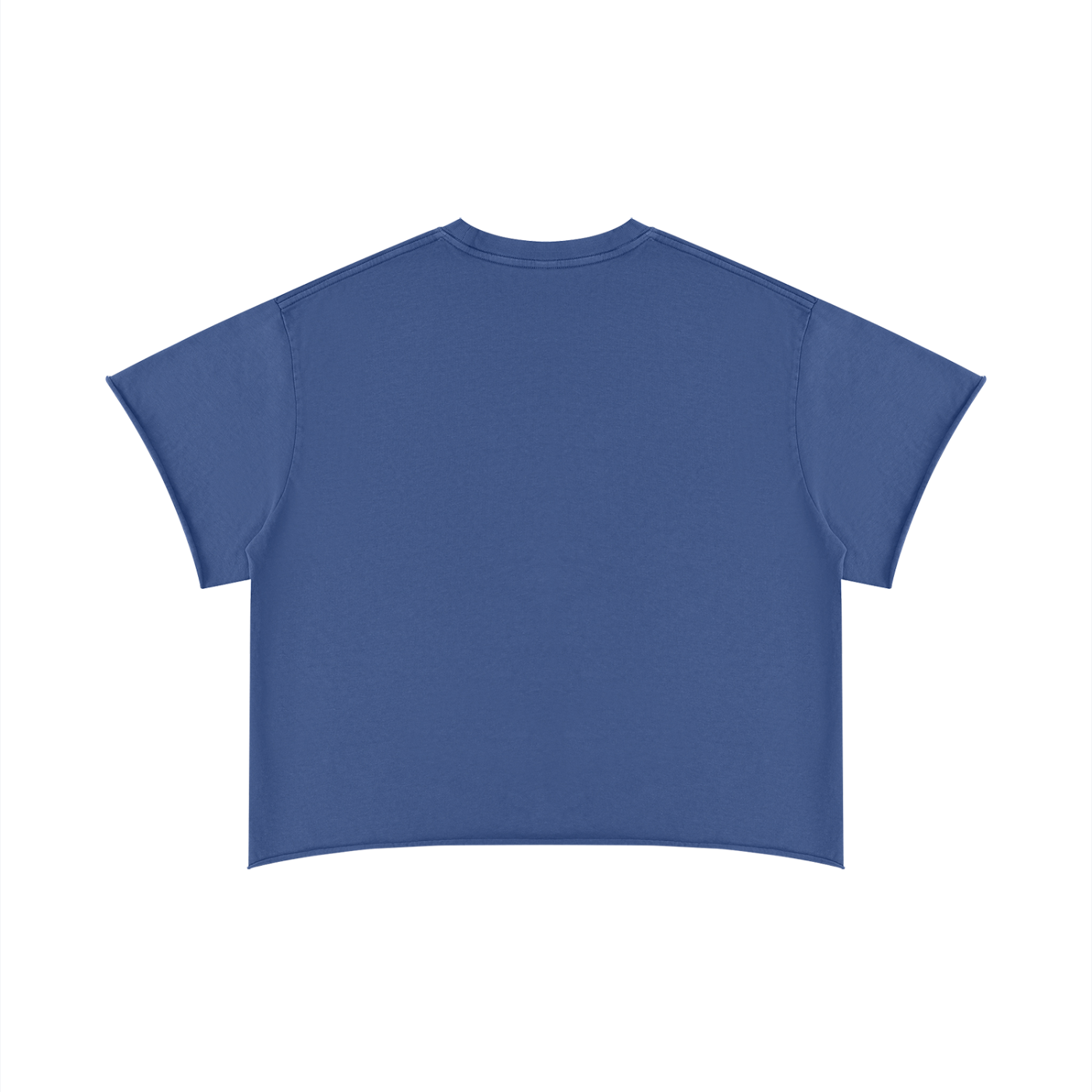 Hidden Castles Boxy Raw Edge T-Shirt